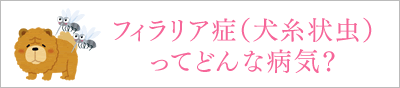 フィラリア症ってどんな病気？