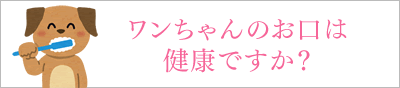 ワンちゃんのお口は健康ですか？